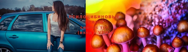 мескалин Алексин