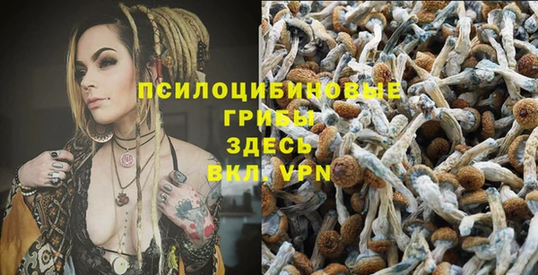 бошки Алзамай