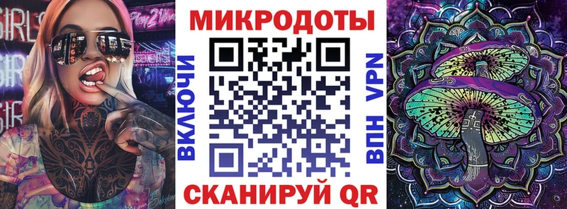 как найти   Любань  Псилоцибиновые грибы Cubensis 